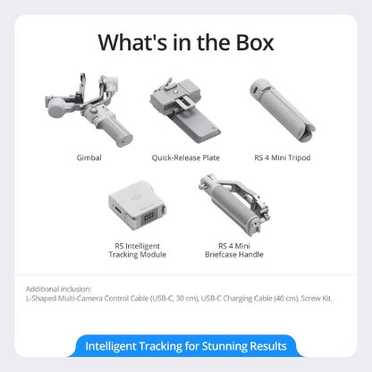 DJI RS 4 Mini Combo | DJI991959 